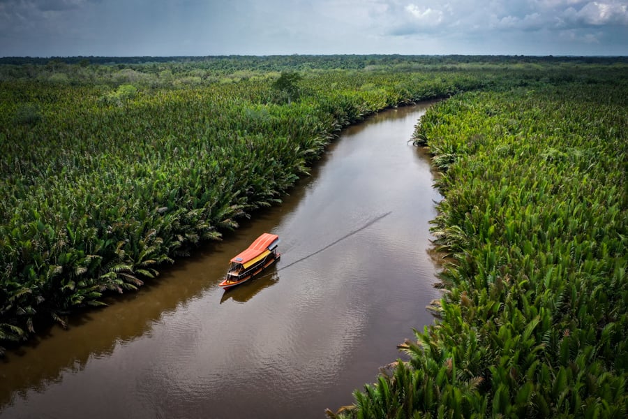 Tanjung Puting Sekonyer River Drone